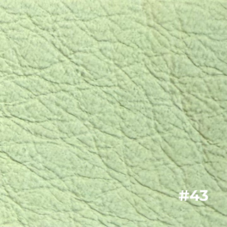 ウィルソン 色81